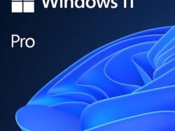 Licencia Windows 11 Pro